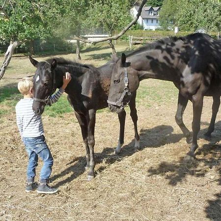 Ferienwohnungen Baust im Mühlental Eslohe Exterior foto