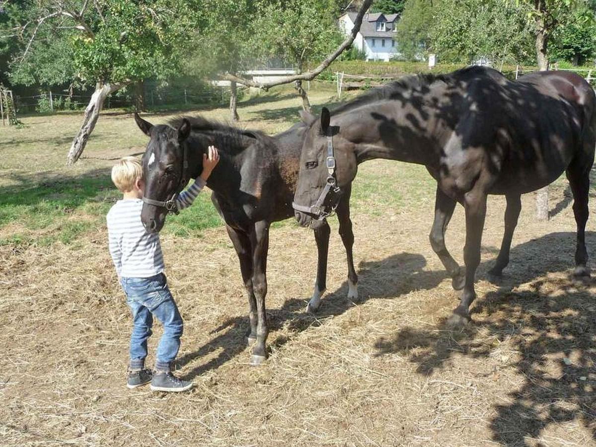 Ferienwohnungen Baust im Mühlental Eslohe Exterior foto