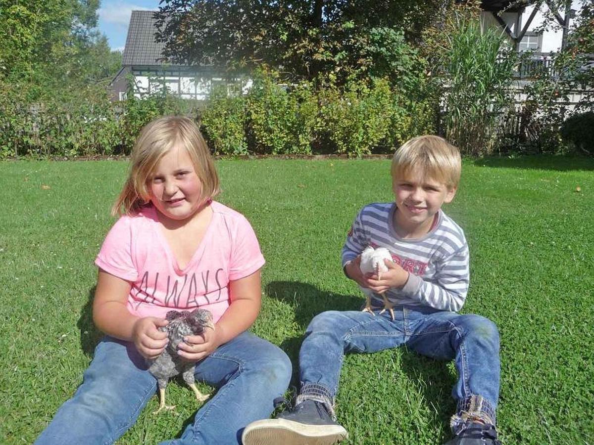 Ferienwohnungen Baust im Mühlental Eslohe Exterior foto