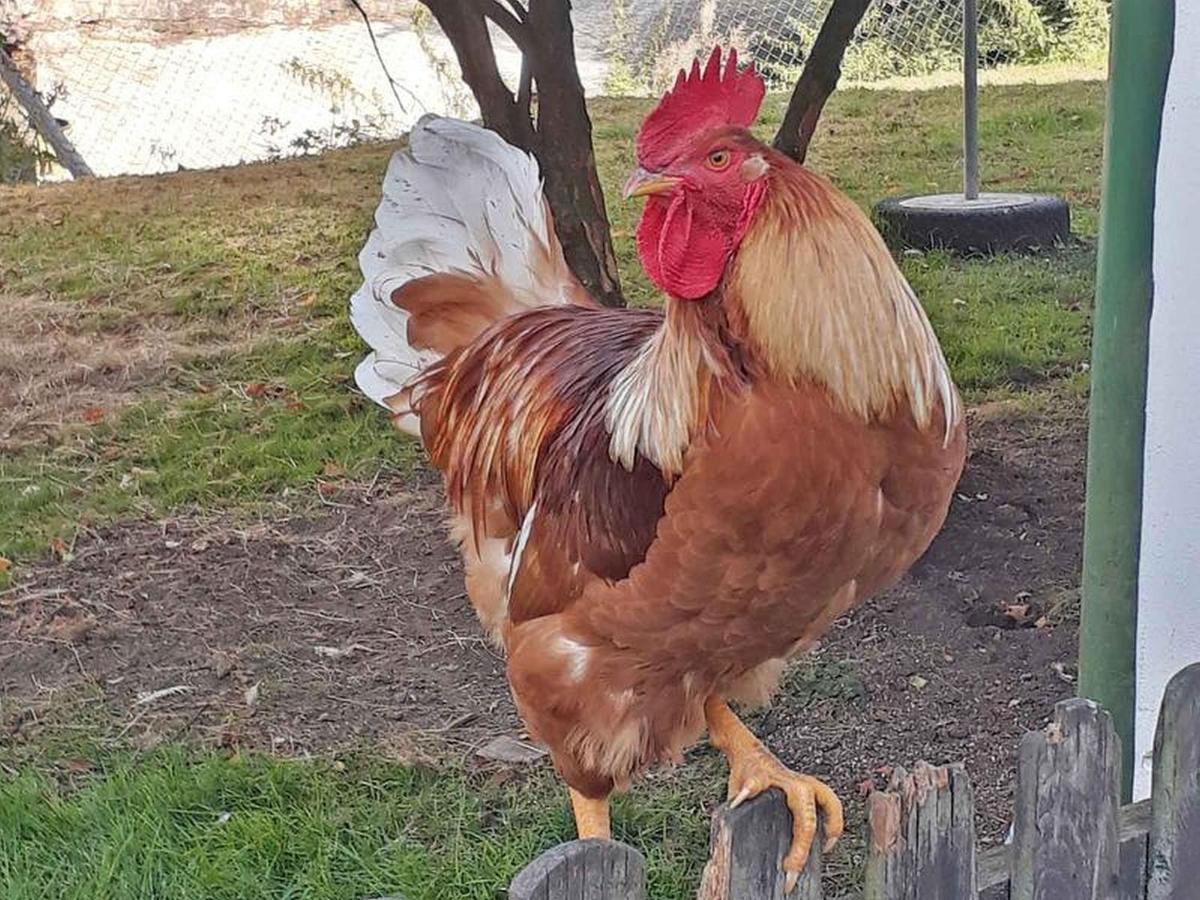 Ferienwohnungen Baust im Mühlental Eslohe Exterior foto
